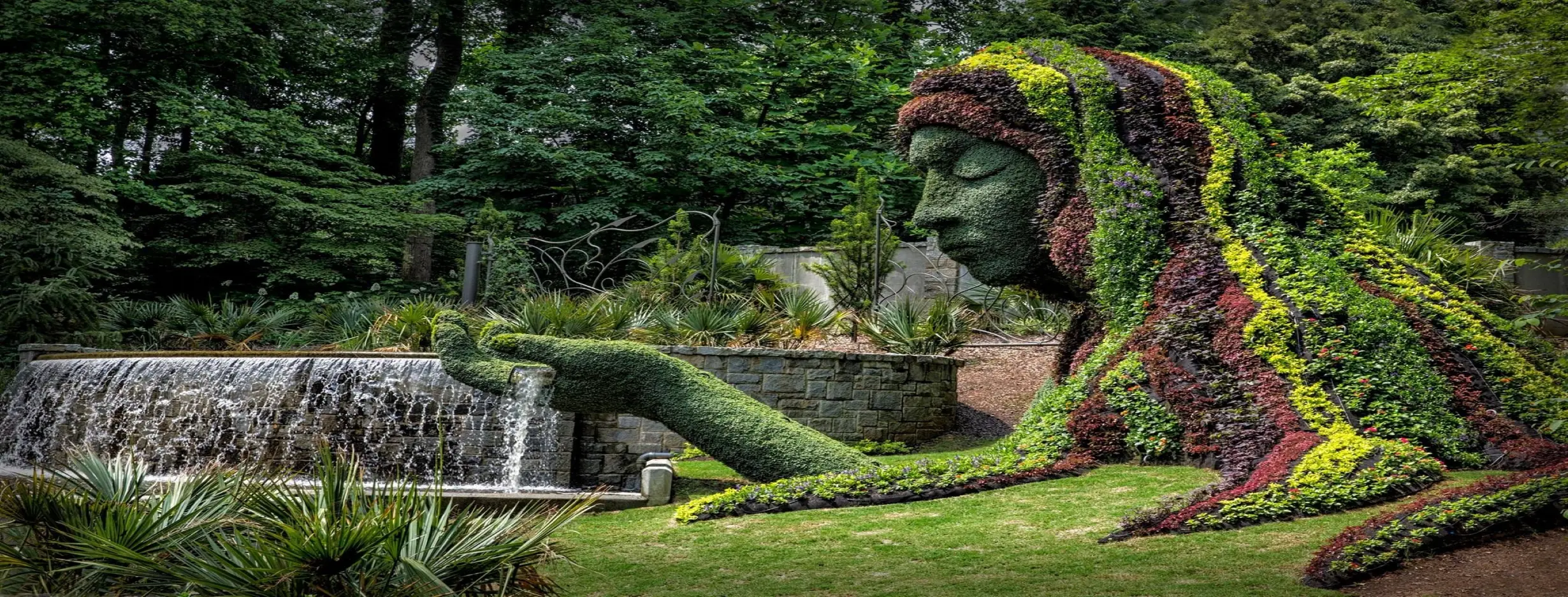 Image for Botanical Garden
